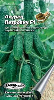 Сорта огурцов буян