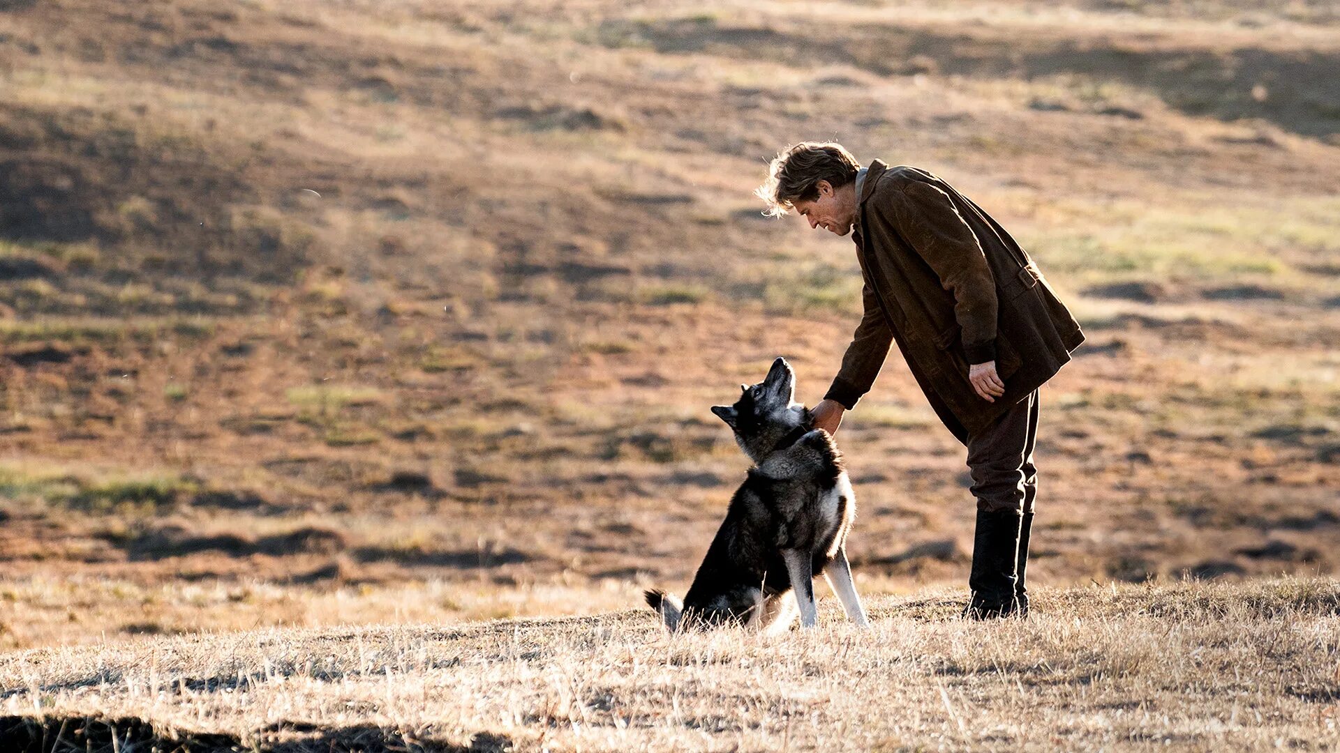 Сбегай посмотри. Уиллем Дефо того. Того / Togo (2019).