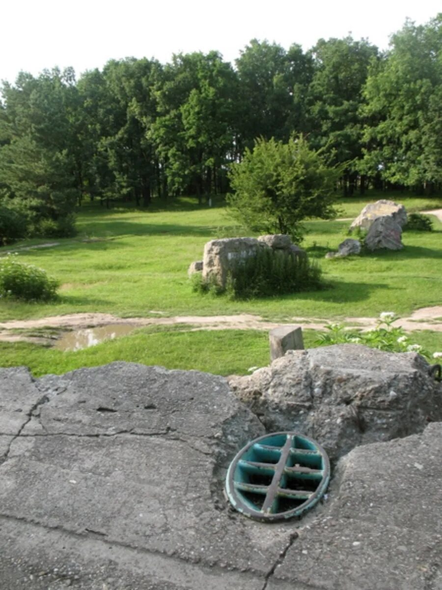 Ставка гитлера вервольф винницкая область. Бункер вервольф под винницей. Под винницей. Волчье логово гитлера винница. Ставка гитлера вервольф винницкая область.