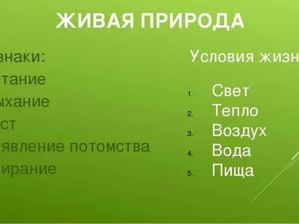Графит это объект живой природы 5 класс