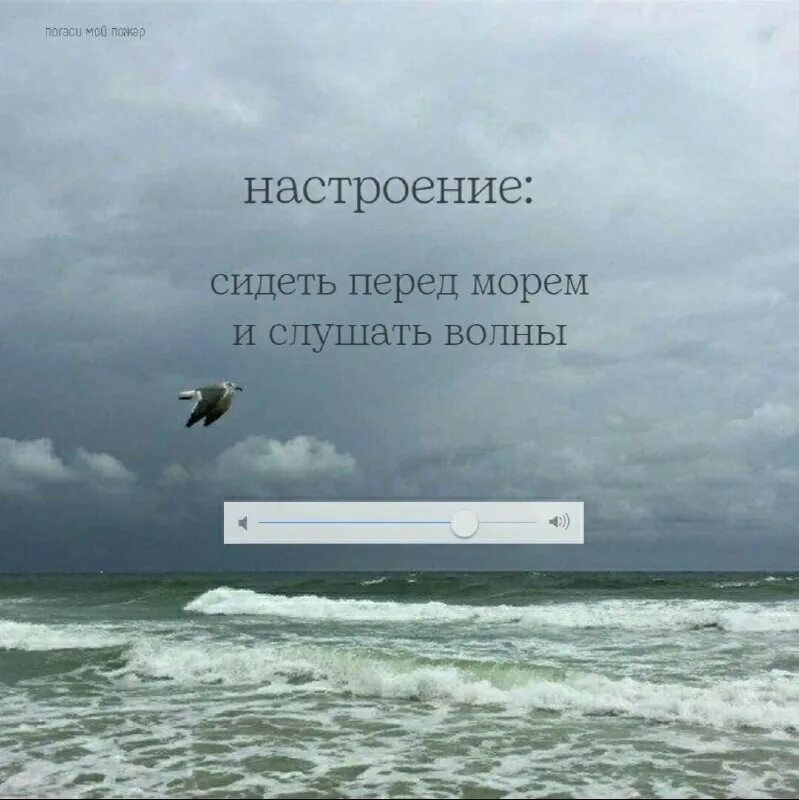 Как дельфины мы уходим текст. Как дельфины мы уходим текст