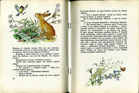 Бианки рассказы про весну