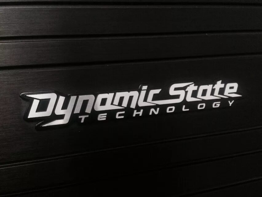 Dynamic State Technology наклейка. Dynamic State логотип. Динамик Стейт Технолоджи. Динамик Стейт логотип.