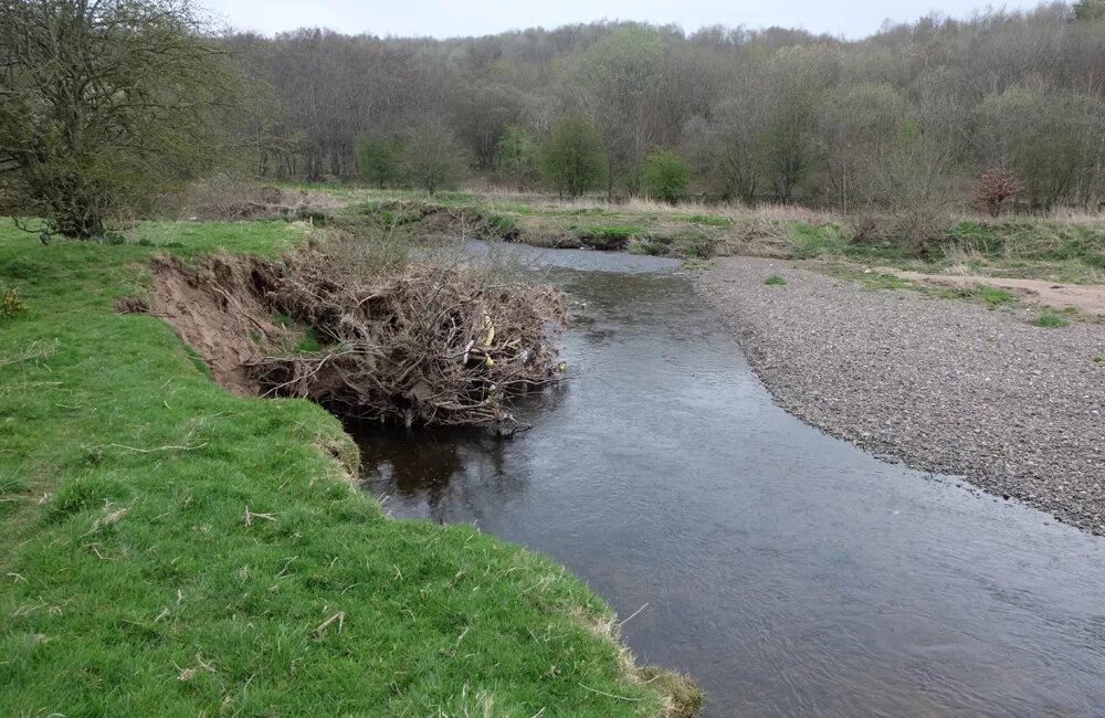 эрозионные процессы реки. спрямление русла. схемы развития речной долины. боковая речная эрозия. речная эрозия.