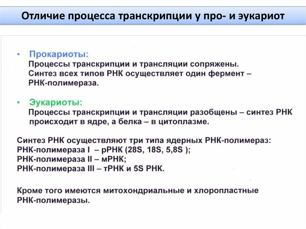 Транскрипция прокариот и эукариот сравнение. Признаки транскрипции. Произношение согласных звуков. Особенности транскрипции у эукариот. Особенности произношения звуков.