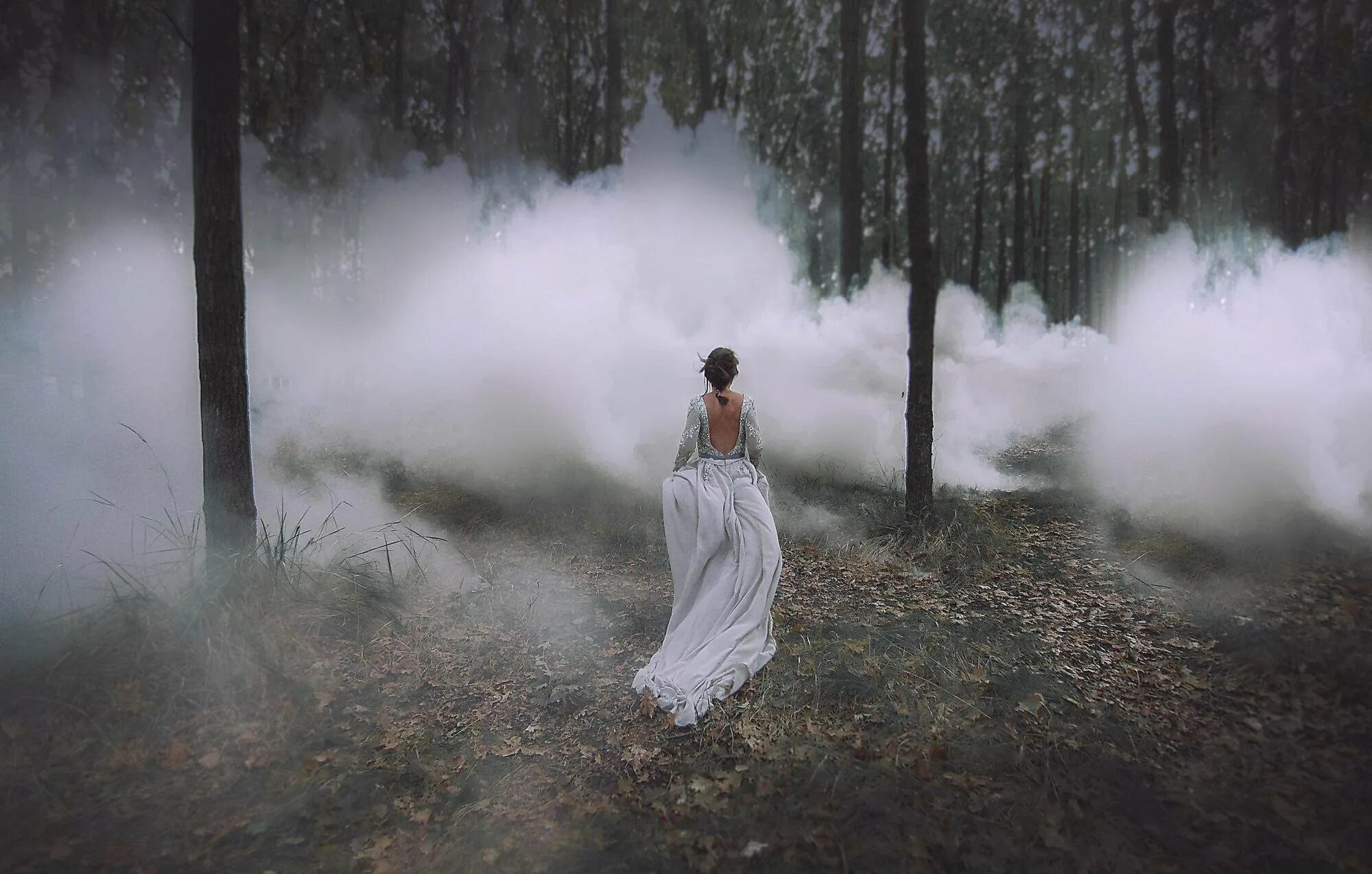 Девушка в тумане. Девушка в туманном лесу. Фотосессия в туманном лесу. Ветром обман