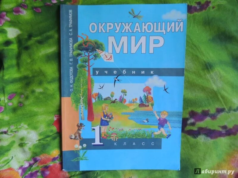 Окр мир федотова. Окружающий мир 1 класс учебник Федотова Трофимова. Окружающий мир Федотова Трафимова мир 1 класс. Окружающий мир 1 класс Федотова Трафимова Трафимов окружающий мир. Перспективная начальная школа окружающий мир 1 класс.