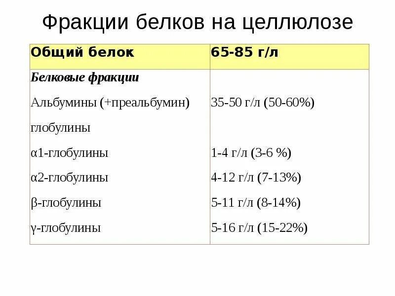 Функции основных белковых фракций крови. Характеристика фракций белков крови. Норма фракций белка в крови. Белковые фракции анализ крови. Общий белок крови фракции