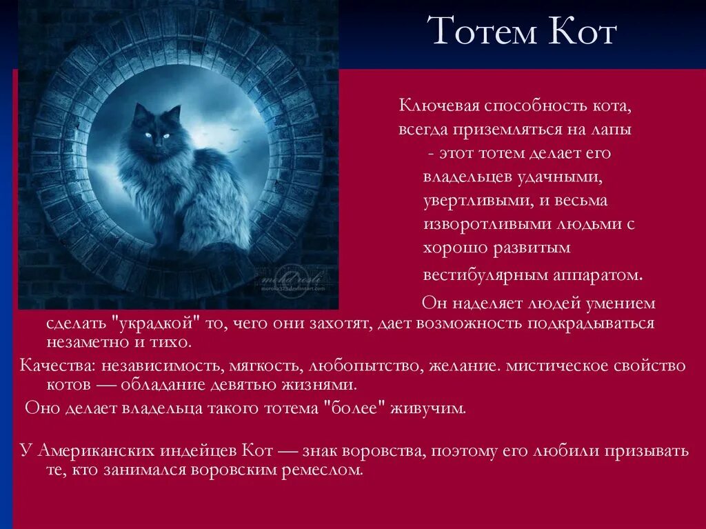 Тотемное животное. Тотемный кот. Тотем кота в эзотерике. Тотемное животное кошачьи. Гороскоп мужчины кота