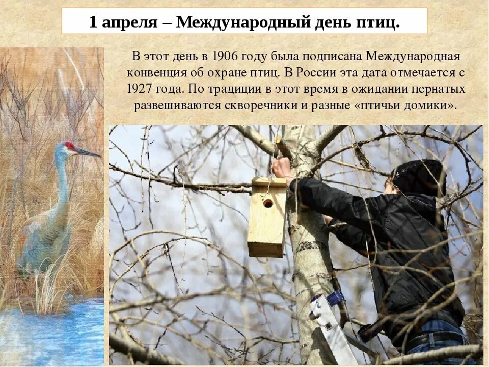 Международный день птицы отмечается 1 апреля. День птиц. международный день птиц. международный день пти. международный праздник птиц.