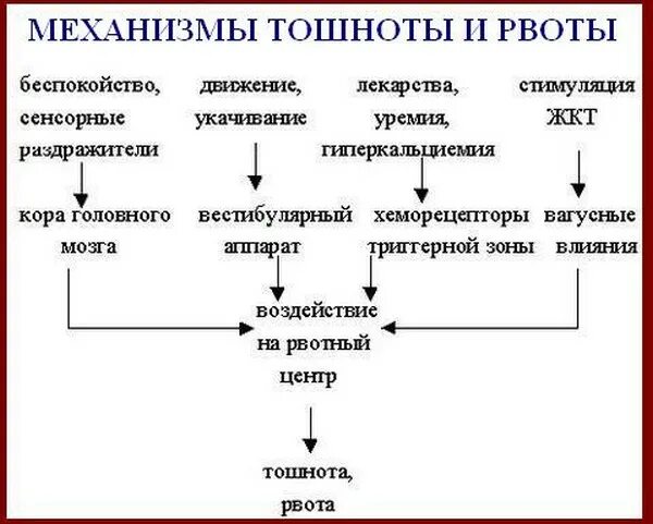 Почему чувство тошноты. Механизм развития рвоты схема. Механизм развития рвоты при инфекции. Причины рвоты. Тошнота без рвоты причины.