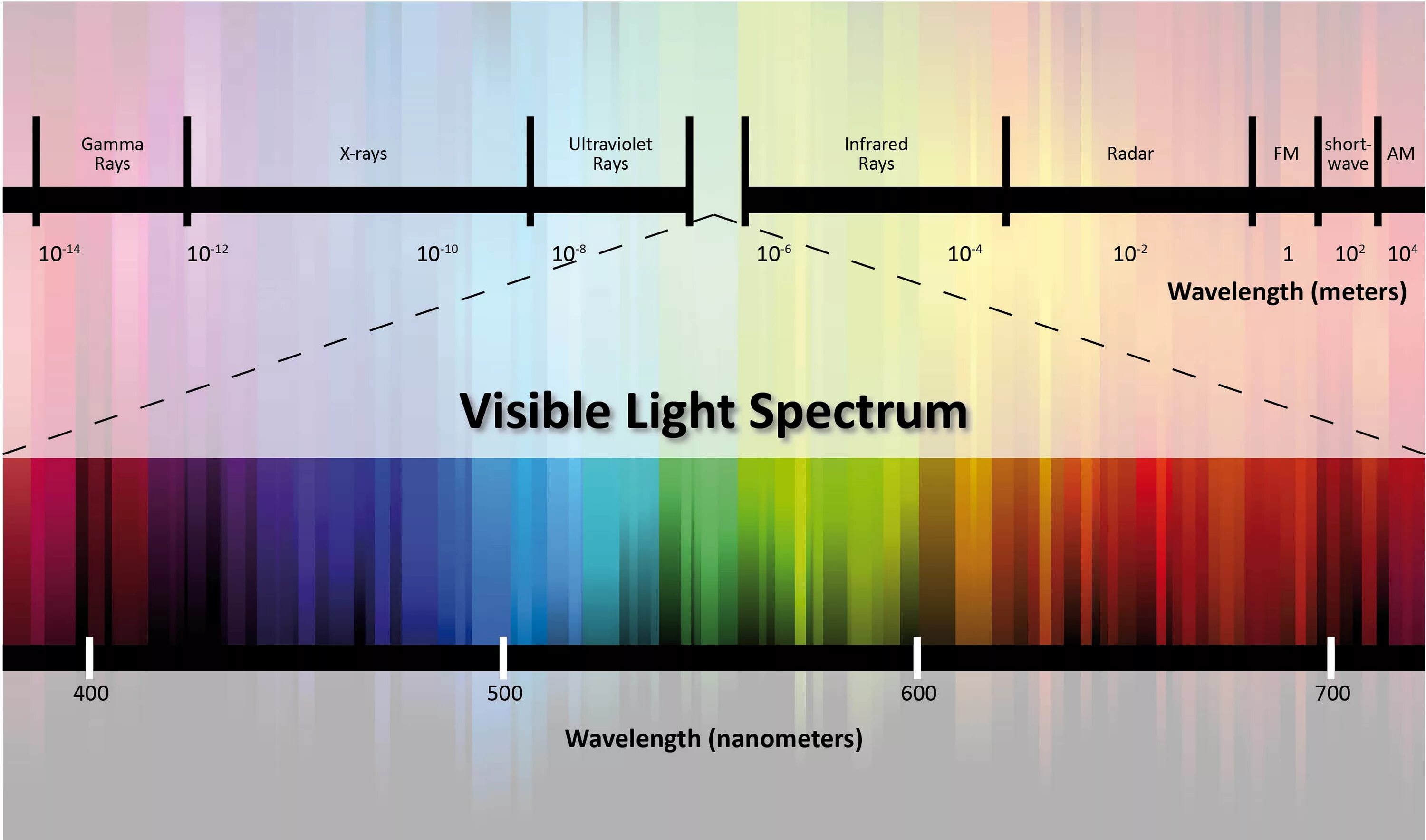 Спектр новый сайт. Visible Light wavelength. Visible Light Spectrum. Спектральные цвета. Спектр цветок.