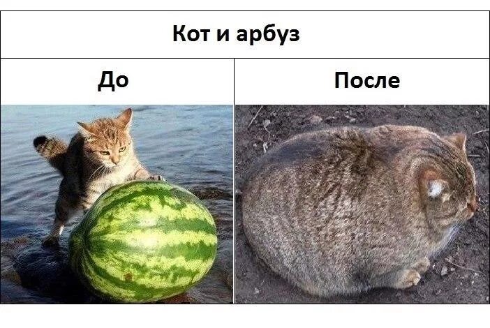 Ответы Mail.ru: Маги, а куда деваются герои вчерашних дней с ГМГ? Тусили, тусили