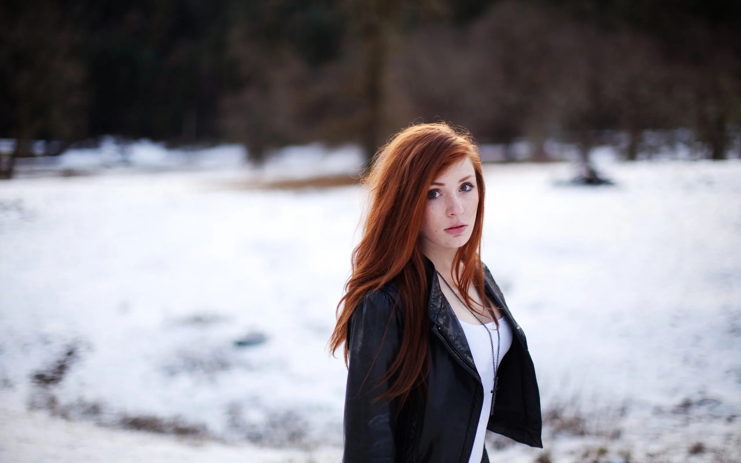 Snow model