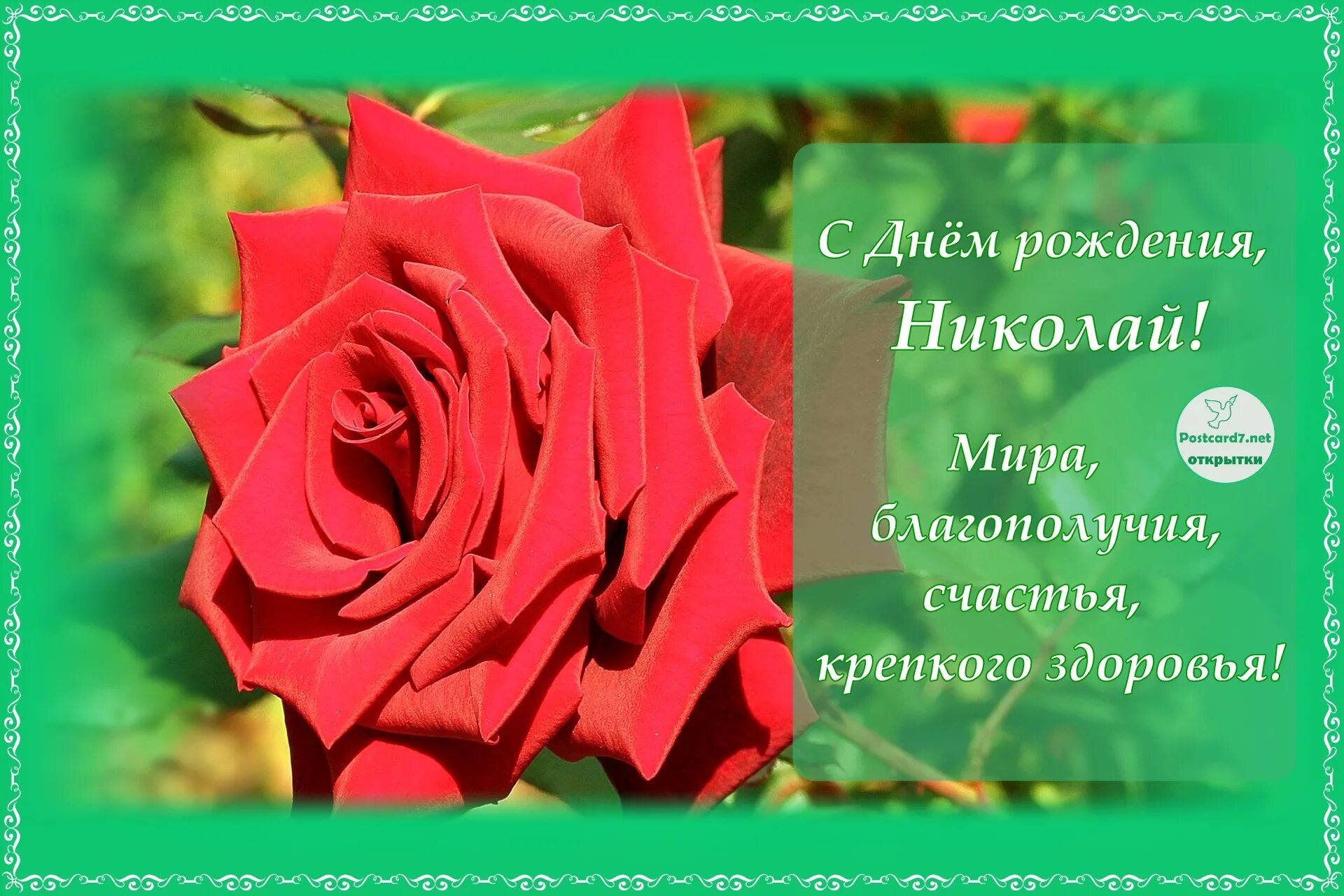Открытки с днем рождения мужчине николаю. С днём рождения николай. с днеа рождения никола. поздравления с днём рождения николаю. с днём рождения николай открытки.