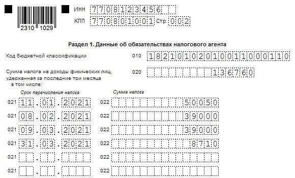 Образец отчета 6 ндфл за год