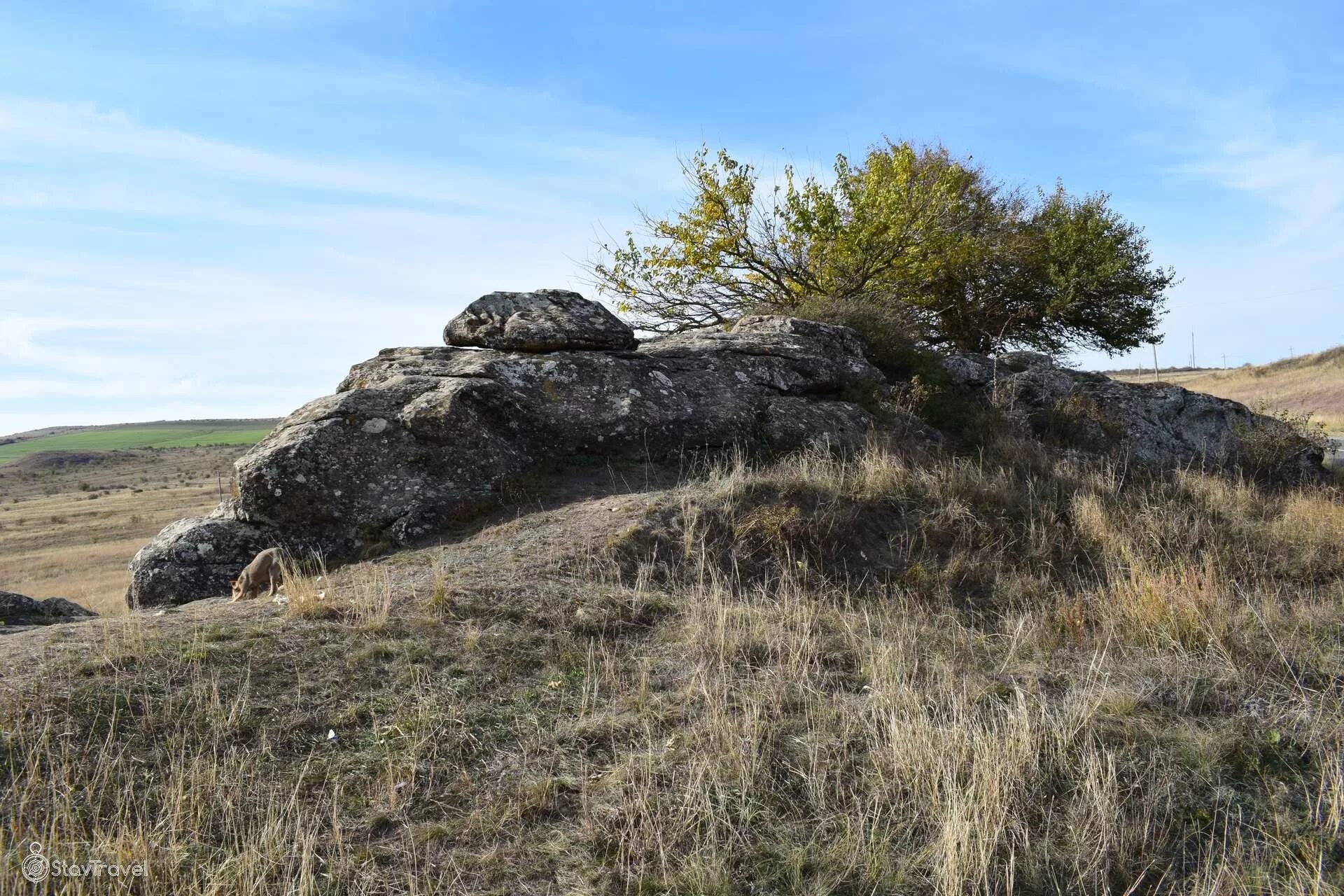 Гора Голубиная Ставропольский край село Александровское. Камень дракон село Александровское Ставропольский край. Каменный дракон село Александровское. Каменный дракон села Александровского. Камни ставропольского края