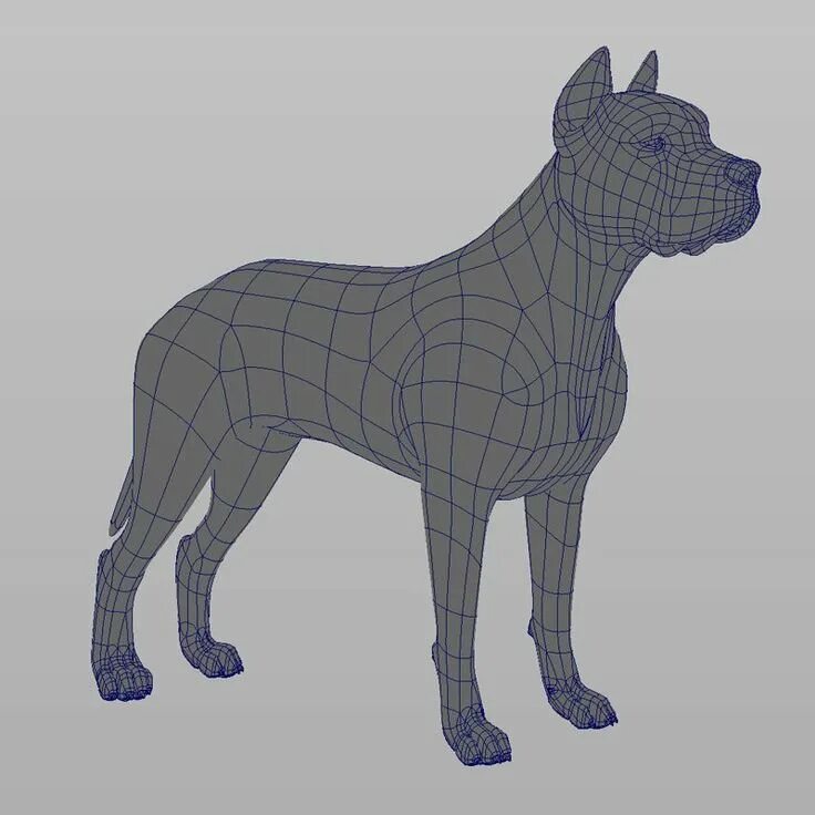 Собака для моделирования. Компьютерная модель собаки. Собака 3д модель. 3д модели животных.