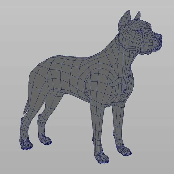 Собака 3д модель. Собака для моделирования. собака компьютерная модель. 3d модель собаки. 3д моделирование собака.