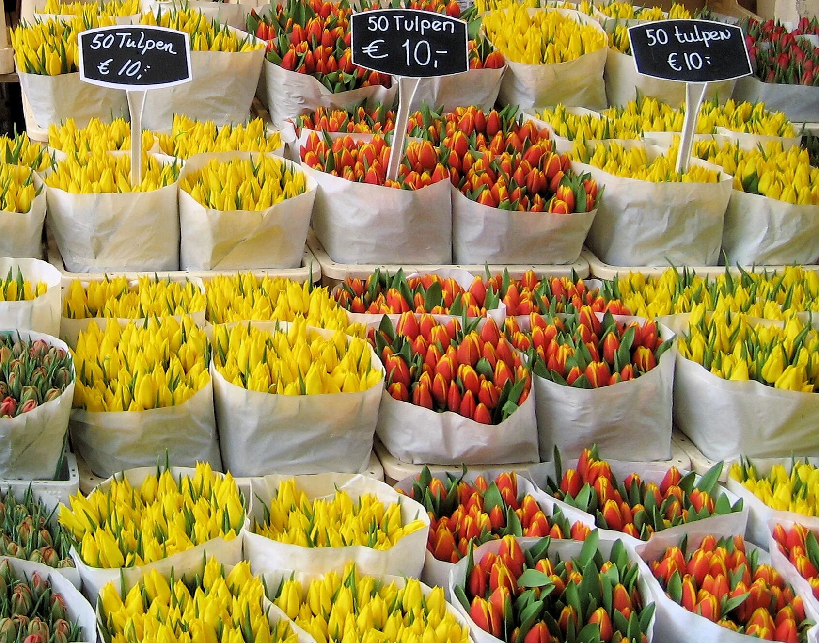 Рынок тюльпанов в Амстердаме. Bloemenmarkt в Амстердаме. Цветочный рынок Амстердам Нидерланды. Flower Market in Amsterdam (Bloemenmarkt).