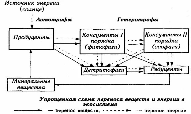 Круговорот энергии в экосистеме. Схема круговорота энергии и вещества в экосистеме. Потоки вещества и энергии в экосистеме схема. Продуценты консументы редуценты детритофаги.