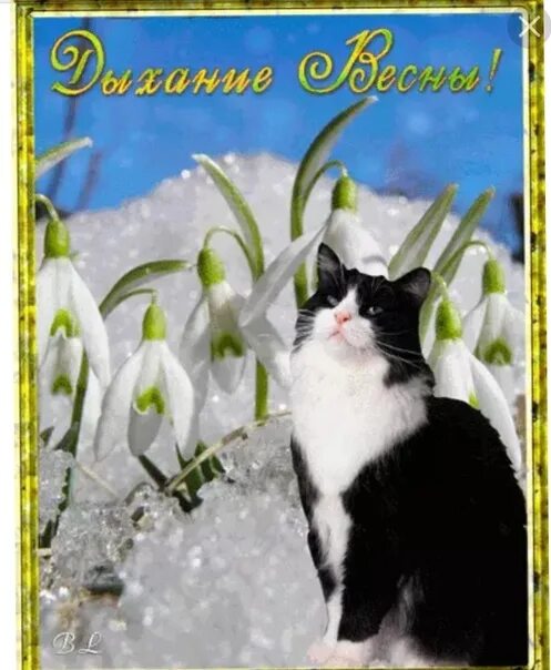 С первым днем весны доброе утро анимация. Открытки с весной. весной. с первым днем весны. открытки с весной красивые.