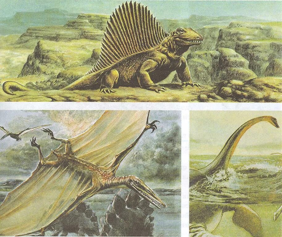 Развитие жизни в мезозойскую и кайнозойскую эры. Палеозойская и мезозойская эры. эры мезозоя и кайнозоя. мезозойская эра юрский период растения. триасовый период мезозойской эры.