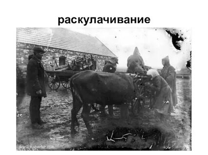 Репрессии в деревне