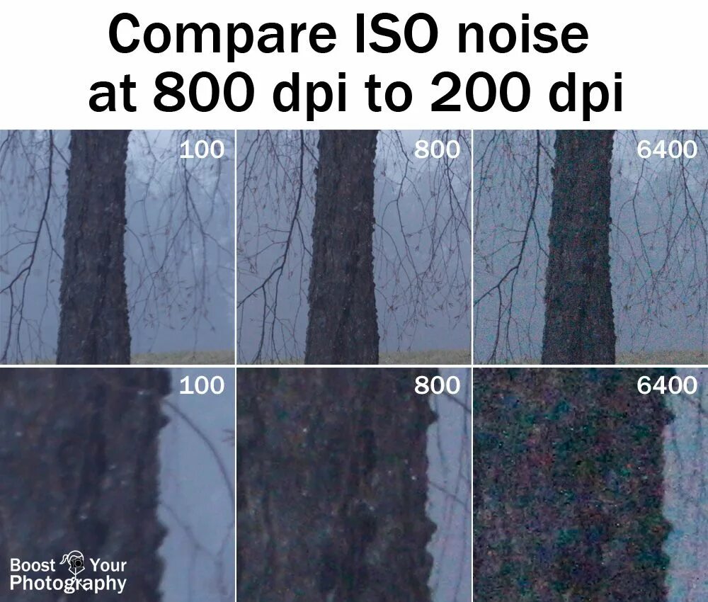 Noisy comparative. ISO В фотографии. Разрешение 200 dpi это. Высокое ISO. Dpi изображения.