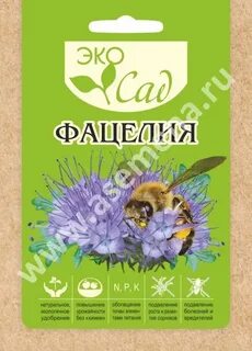 Фацелия от сорняков