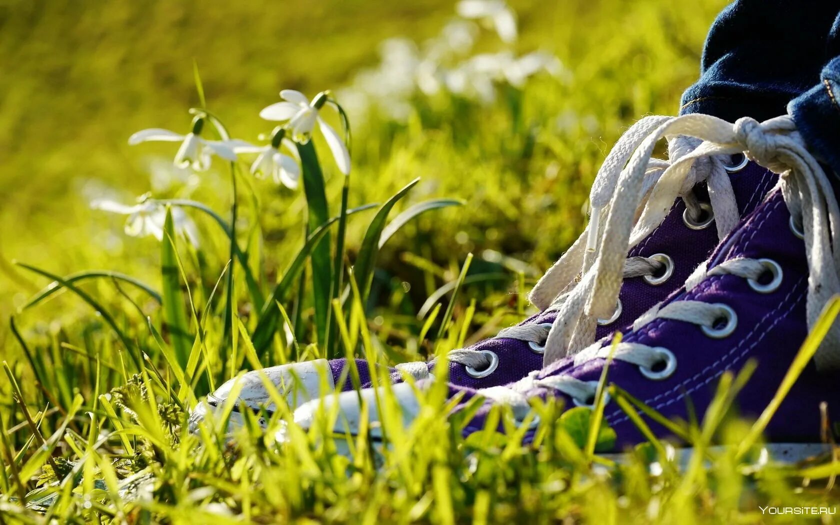 Кроссовки. Кеды на природе. Ноги в кроссовках на траве. Кеды на траве.