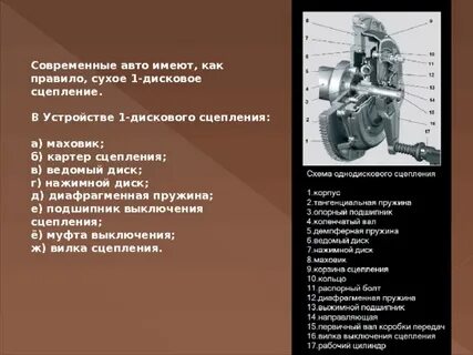 Сухие правила
