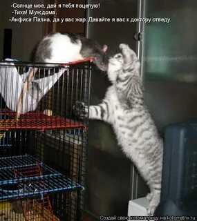 Совсем от рук отбился