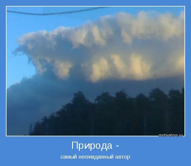 Природа выражение. Цитаты про природу. мотиватор природа. статусы про единение с природой. природа лучший художник цитаты.