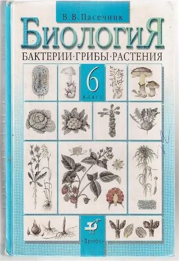 Биология 6 класс учебник пасечник ракушка