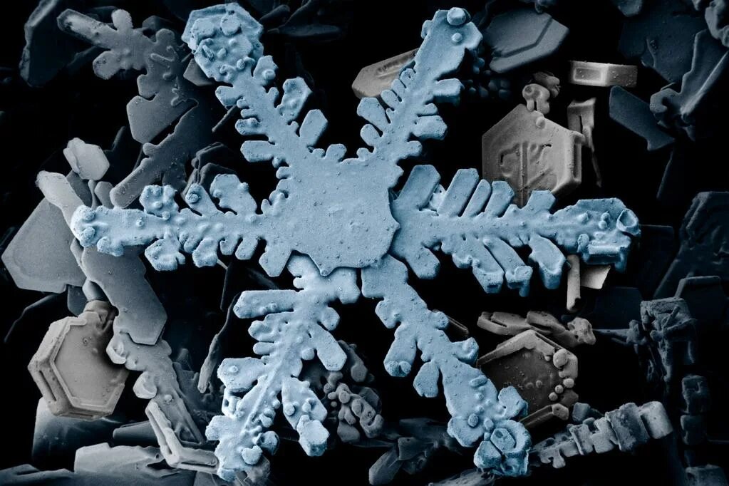 Молекулы под электронным микроскопом File:Hexabenzocoronene  Wikipedia
