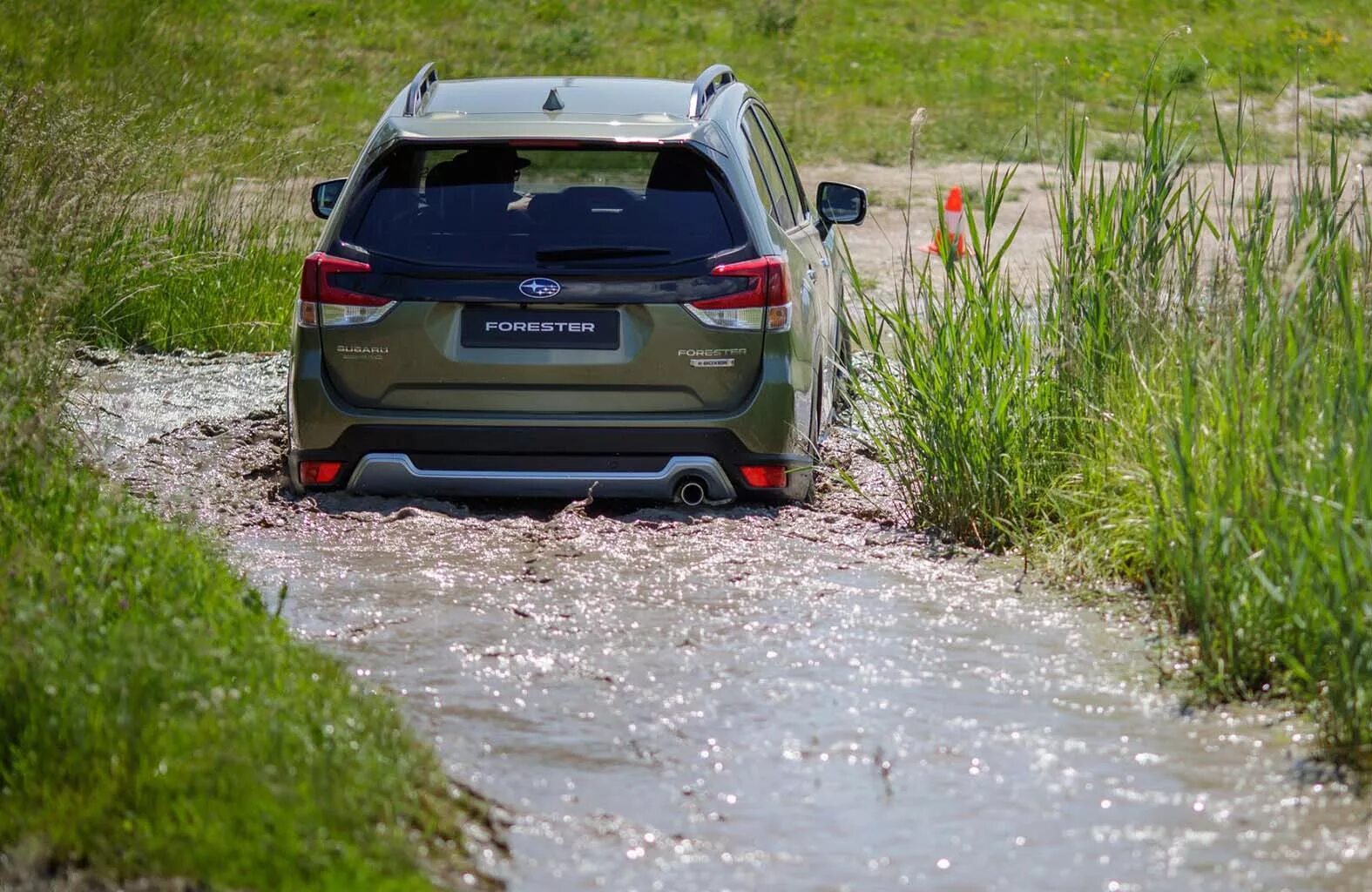 Субару Форестер гибрид 2022. Subaru Forester e-Boxer. Subaru Forester гибридный. Субару Форестер гибрид новый. Субару форестер гибрид