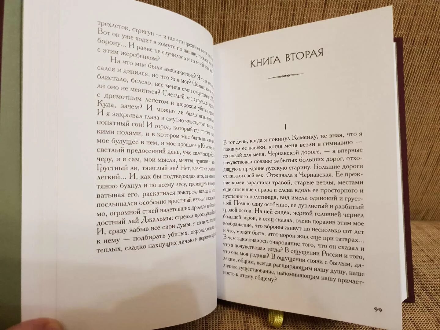 Жизнь арсеньева отзыв. Жизнь арсеньева книга. бунин и.а. &quot;жизнь арсеньева&quot;. бунин жизнь арсеньева книга.