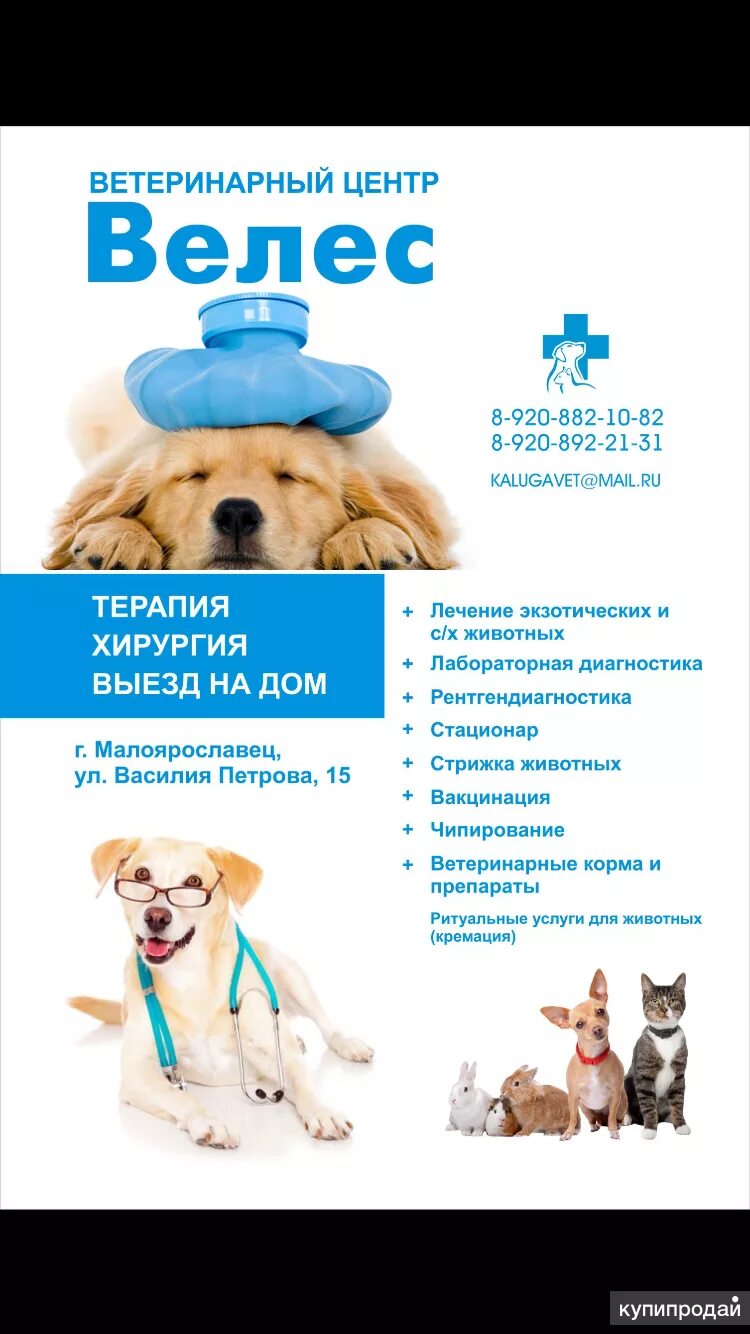 Ветклиника велес кольчугино. Ветклиника велес малоярославец. Ветклиника велес малоярославец. Ветклиника велес находка. Ветклиника велес малоярославец.