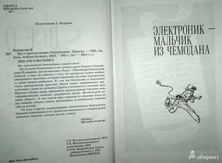 Аннотация электроника