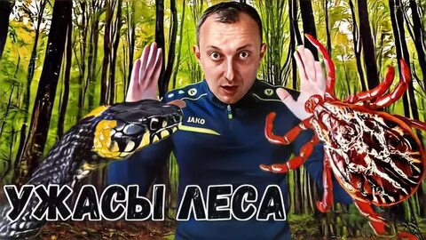 Укус змеи 2020