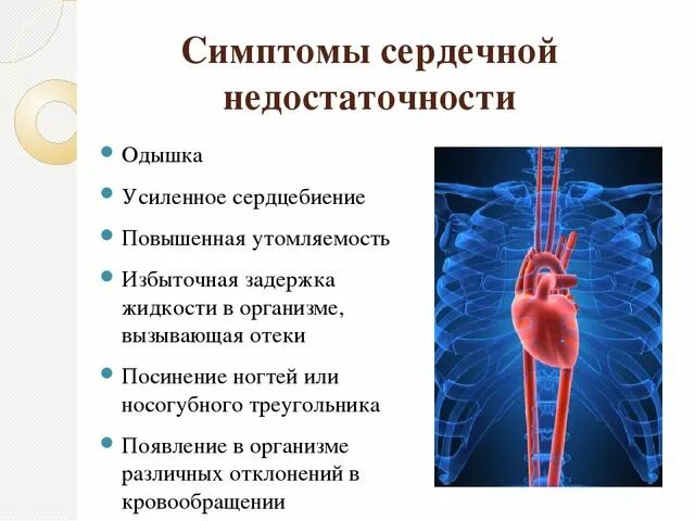 Первая помощь при сердечной недостаточности. Ранний признак сердечной недостаточности. начальные симптомы сердечной недостаточности. симптомы острой сердечной недостаточност. симптомы острой сердечной недостаточности обж.