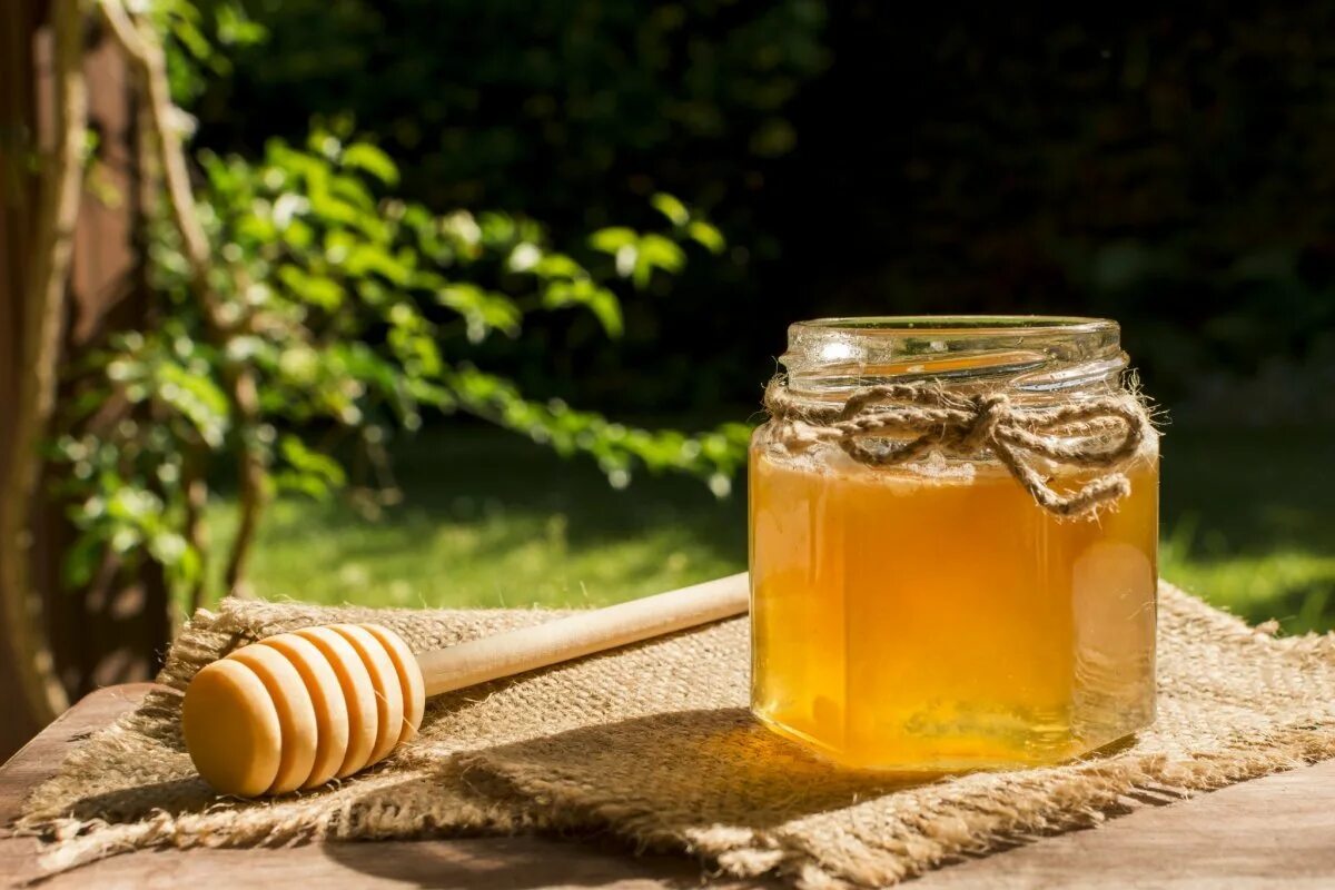Honey медовый. Липовый мед кристаллизованный. Мёд липа разнотравье. Мёд кориандровый. Баночка для меда.