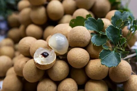 Fruits ball