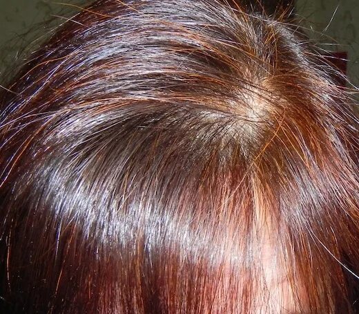 хна седые. хна седые. хна закрашивает седину. седые волосы закрашенные хной. хна на седые волосы.