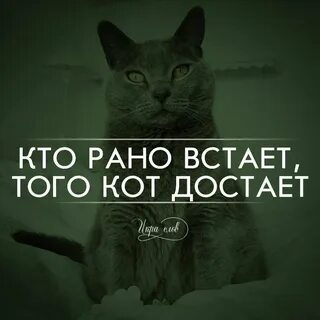 То не достает то это