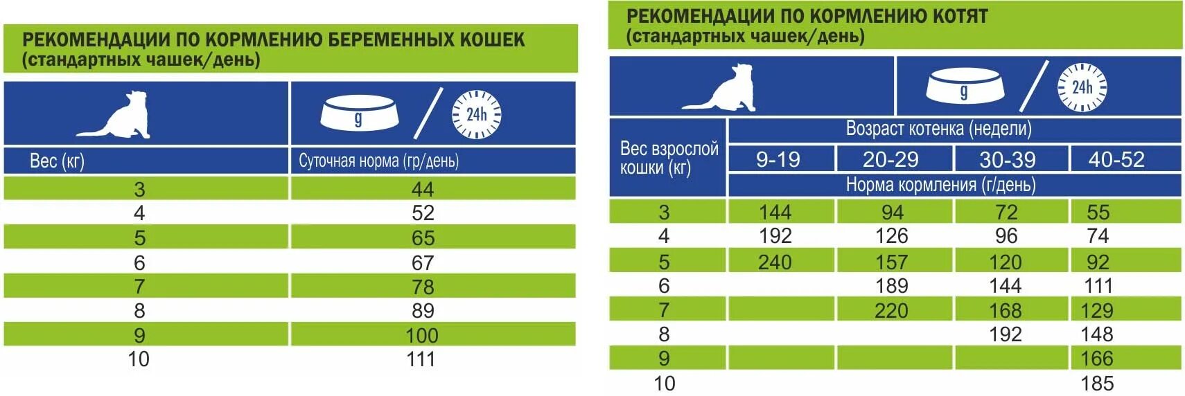 Норма сухого корма для котят 2,5 месяца. Норма сухого корма для котят 2 месяца. Норма сухого корма для котят 5 месяцев. Норма сухого корма для котят 7 месяцев. Сколько раз в день нужно кормить котят