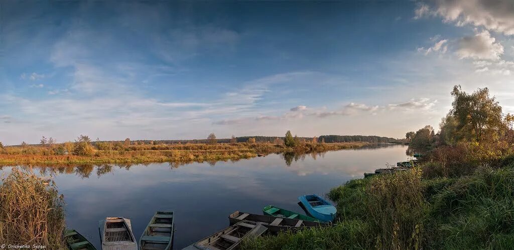 Уровень воды в реке ипуть в добруше. Плотина Добруш Ипуть. Река Ипуть. Река Ипуть Брянская область. Добруш озеро.