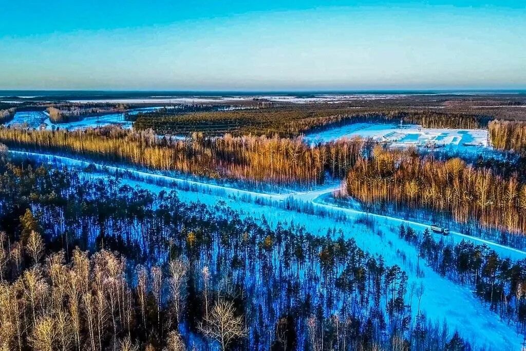 Уникальная сибирь. Западно Сибирская равнина Васюганское болото. Васюганские болота, Сибирь. Васюганское болото Томской области. Васюганские болота в Западной Сибири.