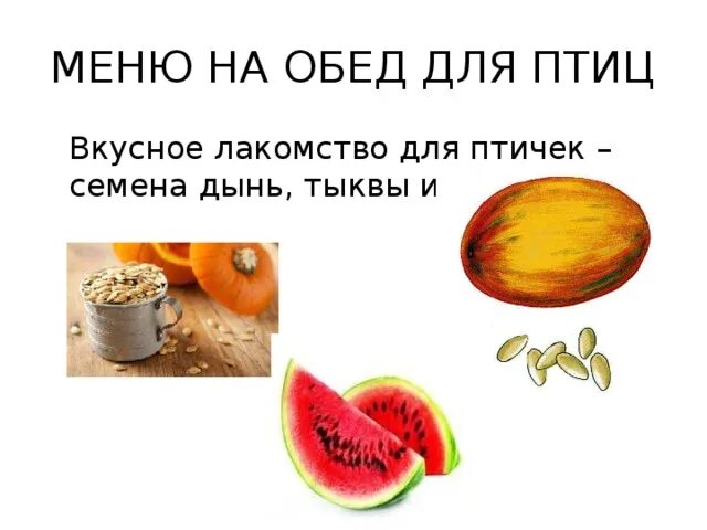 Можно ли давать курам семечки дыни. Можно ли давать курам семечки дыни